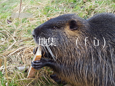 綠地集團負(fù)債逾期了嗎上海