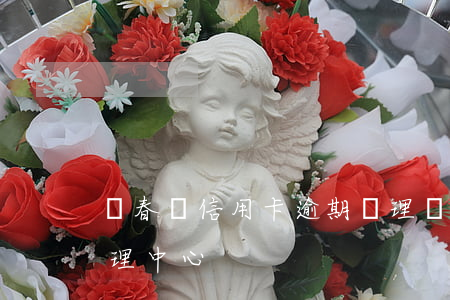 綠春縣信用卡逾期處理(綠春縣信用卡逾期處理中心)