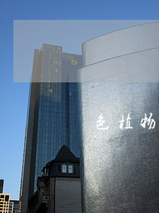 綠色植物租擺合同