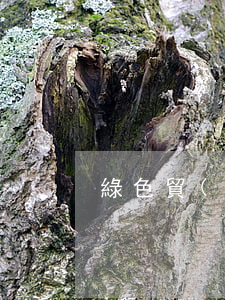 綠色貿(mào)易壁壘