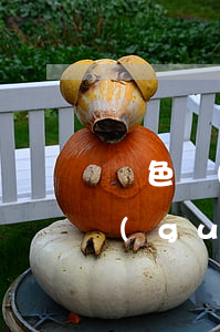 綠色貿(mào)易壁壘對(duì)我國(guó)貿(mào)易的影響及政策對(duì)策
