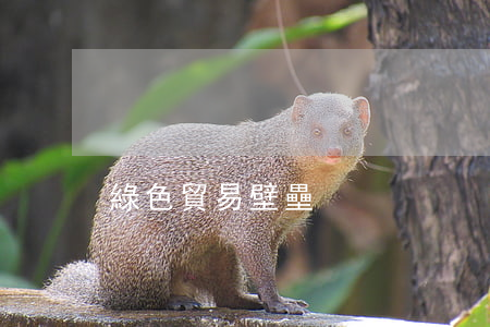 綠色貿易壁壘