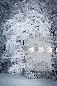 綠銀律師催款(浙江綠銀律師)