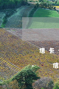 維信卡卡貸不還款會(huì)有什么后果-維信卡卡貸不還款會(huì)有什么后果嗎