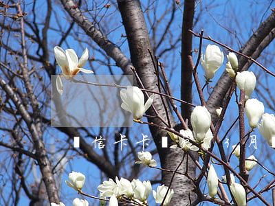 維信卡卡貸欠了3月(維信卡卡貸欠了3月)
