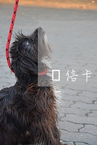 維信卡卡貸無(wú)力償還