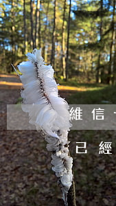 維信卡卡貸逾期多久會被起訴(維信卡卡貸說已經(jīng)起訴我了,多久能找到我?)