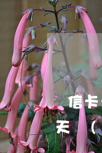 維信卡卡貸逾期快一年了(維信卡卡貸逾期兩天會(huì)打聯(lián)系人電話嗎)