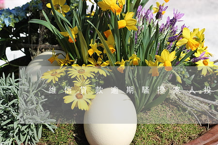 維信貸款逾期騷擾家人(投訴維信貸款電話)