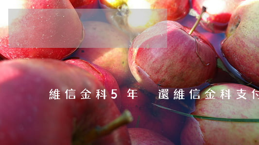 維信金科5年沒還（維信金科支付寶有逾期）