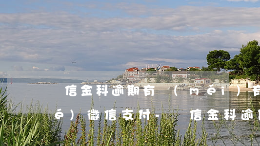 維信金科逾期有沒(méi)有凍結(jié)微信支付-維信金科逾期有沒(méi)有凍結(jié)微信支付的
