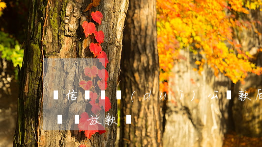 維信閃貸對(duì)公還款后逾期(維信閃貸還放款嗎)
