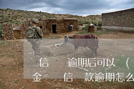 維信閃貸逾期后可以協(xié)商只還本金嗎?（維信貸款逾期怎么協(xié)商還款）