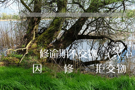 維修逾期不交物業(yè)費(業(yè)主因為維修問題拒交物業(yè)管理費)
