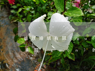 維族婚姻有關(guān)的律師(維族婚姻有關(guān)的律師)