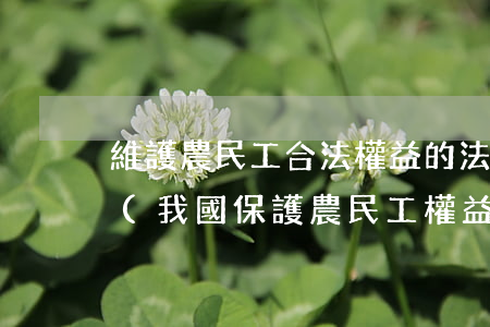維護農民工合法權益的法律法規(guī)(我國保護農民工權益的相關法律有哪些)
