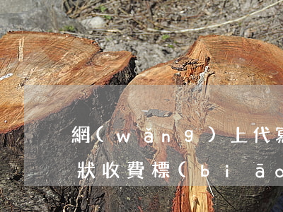網(wǎng)上代寫起訴狀多少錢(代寫訴狀收費標(biāo)準(zhǔn))