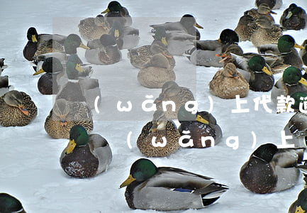 網(wǎng)上代款逾期對信用卡有影響嗎(網(wǎng)上貸款逾期會影響信用卡嗎)