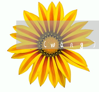 網(wǎng)上代購的合法情形