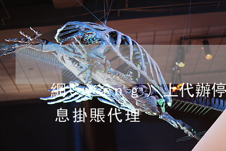 網(wǎng)上代辦停息掛賬可靠嗎-停息掛賬代理