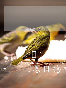 網(wǎng)上信用卡不還會(huì)怎樣(信用卡還不了會(huì)怎樣)