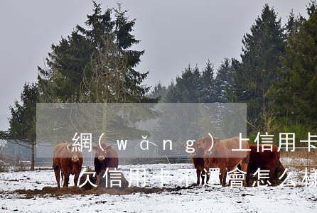 網(wǎng)上信用卡不還會怎么樣(長期欠信用卡不還會怎么樣)