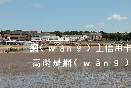 網(wǎng)上信用卡利息(是信用卡利息高還是網(wǎng)貸利息高)