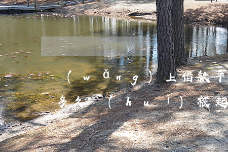 網(wǎng)上借款平臺(tái)逾期多久會(huì)被起訴(網(wǎng)上平臺(tái)借錢逾期了真的會(huì)被起訴嗎)