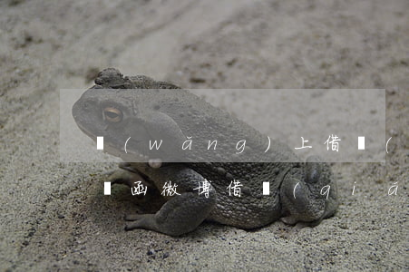 網(wǎng)上借錢(qián)收到律師函(微博借錢(qián)收到律師函)