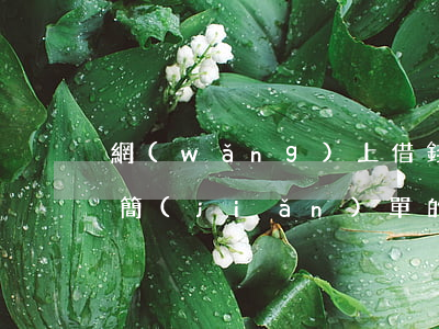 網(wǎng)上借錢(qián)最快最簡(jiǎn)單的