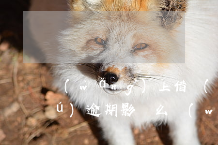 網(wǎng)上借錢(qián)無(wú)逾期影響么(網(wǎng)上借錢(qián)沒(méi)有逾期為什么全部不能借了)