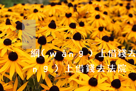 網(wǎng)上借錢去法院起訴（網(wǎng)上借錢去法院）