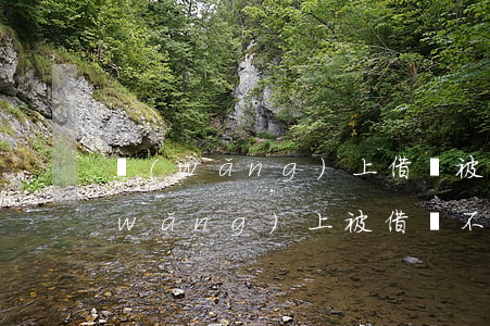 網(wǎng)上借錢被起訴怎么辦-網(wǎng)上被借錢不還可以報(bào)警嗎
