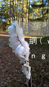 網(wǎng)上借錢起訴在哪里(網(wǎng)上借出去的錢,起訴能要回來嗎)