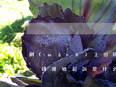 網(wǎng)上借錢逾期一個(gè)月沒錢還被起訴是什么后果-網(wǎng)上借款逾期現(xiàn)在沒有錢還會(huì)怎么樣