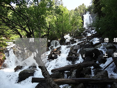 網(wǎng)上借錢逾期一兩天會征信嗎(網(wǎng)上借錢逾期兩天會上征信嗎)
