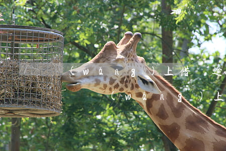 網(wǎng)上借錢逾期會(huì)上門嗎(網(wǎng)上借錢逾期會(huì)怎么樣)