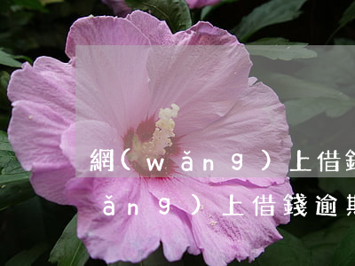 網(wǎng)上借錢逾期會怎么樣（網(wǎng)上借錢逾期會被法院）
