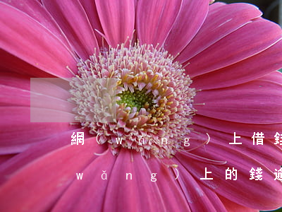 網(wǎng)上借錢逾期會被法院（借網(wǎng)上的錢逾期不還被起訴會有什么后果）