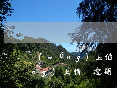 網(wǎng)上借錢逾期被起訴(網(wǎng)上借錢逾期會(huì)立案嗎)