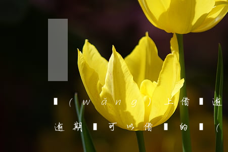 網(wǎng)上借錢逾期貸款買房(貸款有逾期還可以借錢的網(wǎng)站有沒有)
