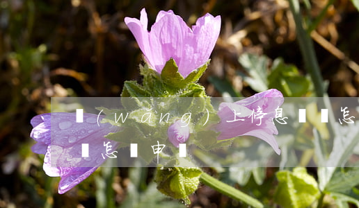 網(wǎng)上停息掛賬怎么操作(停息掛賬怎樣申請)
