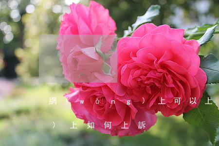 網(wǎng)上可以上訴嗎(網(wǎng)上如何上訴)