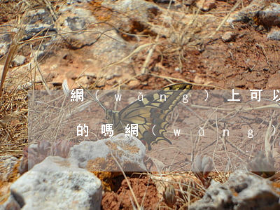 網(wǎng)上可以協(xié)商還款的嗎 網(wǎng)上幫忙協(xié)商還款的是真的嗎,但是要收費(fèi)