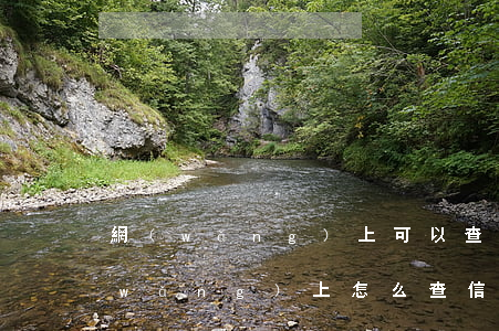網(wǎng)上可以查詢信用卡逾期(網(wǎng)上怎么查信用卡逾期)