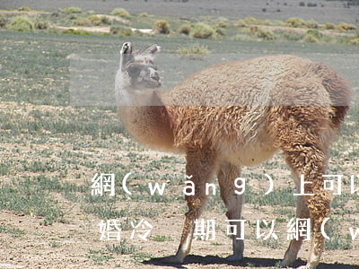 網(wǎng)上可以申請離婚冷靜期嘛(離婚冷靜期可以網(wǎng)上申請嗎)