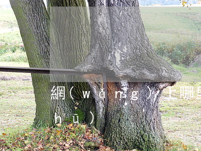 網(wǎng)上哪里可以看到起訴書(shū)