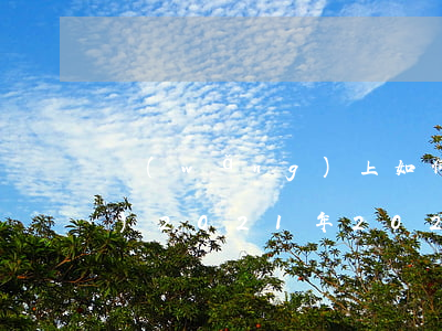 網(wǎng)上如何辦理離婚手續(xù)2021年(2021年辦理離婚證流程)