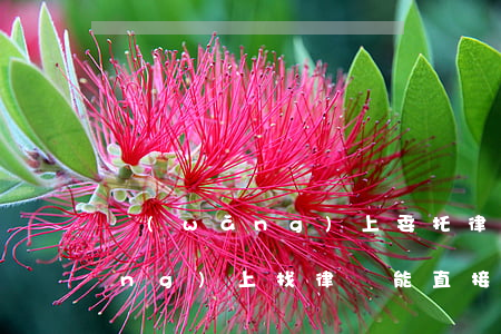 網(wǎng)上委托律師可靠嗎(網(wǎng)上找律師能直接代理嗎)