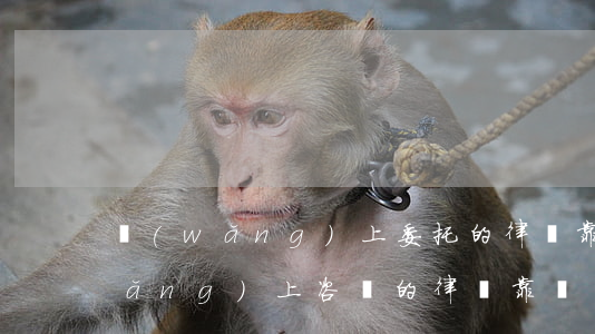 網(wǎng)上委托的律師靠譜嗎(網(wǎng)上咨詢的律師靠譜嗎)